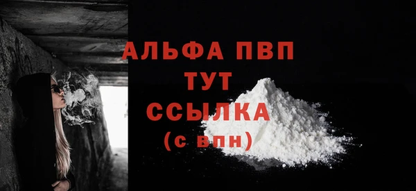 прущие грибы Наволоки