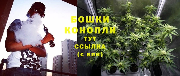 прущие грибы Наволоки