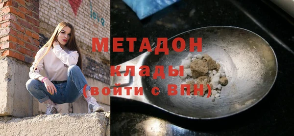 прущие грибы Наволоки