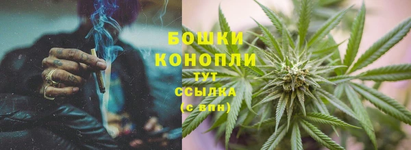 прущие крисы Надым