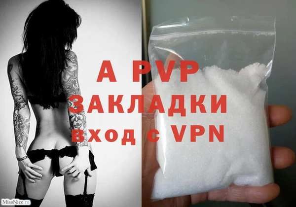 прущие крисы Надым