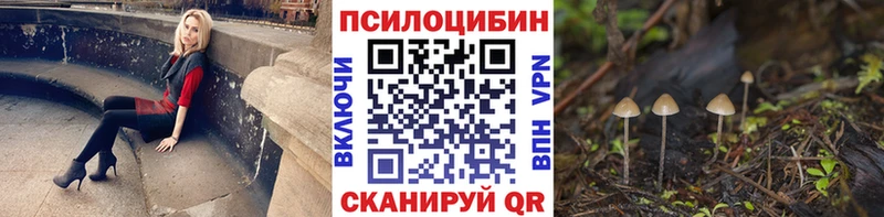 закладки Изобильный Псилоцибиновые грибы MAGIC MUSHROOMS