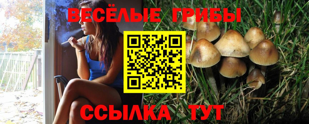 Галлюциногенные грибы Magic Shrooms Изобильный